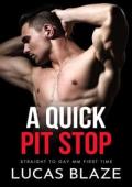 A Quick Pit Stop (Hard Men #1)