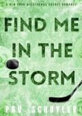 Find Me in the Storm (Nighthawks #7)