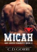 Micah (Dry Creek Cowboys #3)