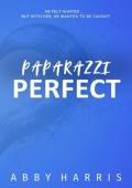 Paparazzi Perfect (Perfect #1)