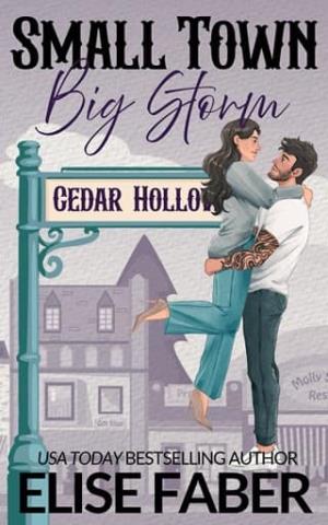Small Town, Big Storm (Cedar Hollow: Home Ice Heroes #1)