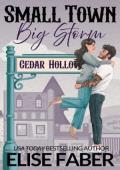 Small Town, Big Storm (Cedar Hollow: Home Ice Heroes #1)