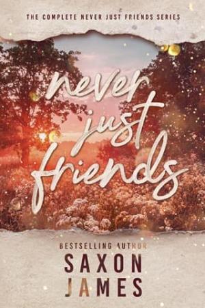 Never Just Friends Box Set