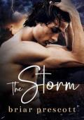 The Storm (Us #2)
