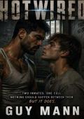 Hotwired (A Mann's World #4)