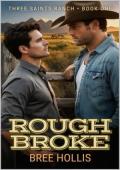 Rough Broke (Three Saints Ranch #1)