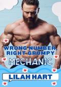Wrong Number, Right Grumpy Mechanic (Wrong Number, Right Grump)