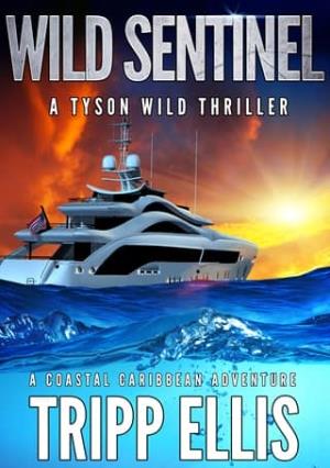 Wild Sentinel (Tyson Wild Thriller #96)