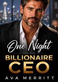 One Night for the Billionaire CEO (Seattle Billionaires #2)