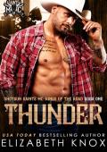 Thunder (Shotgun Saints MC: Kings of the Road #1)