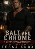 Salt and Chrome (THE IRON HEX MC #4)