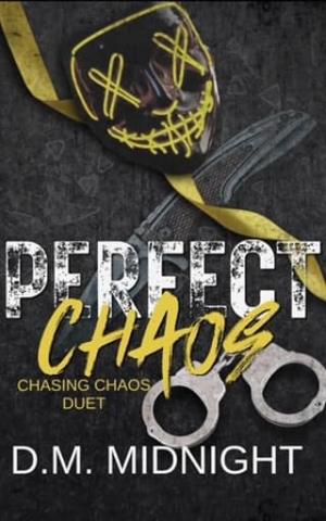 Perfect Chaos (Chasing Chaos Duet #2)