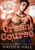 Crash Course (The Boys of Elmwood U #3)