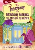 The Infirmary for Dragon Burns and Midair Mishaps