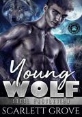 Young Wolf (Return To Fate Mountain #11)