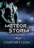 Meteor Storm (The Surge #4)
