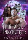 Her Wolf Protector (Fated Mates of Mirror Academy Romantasy #6)