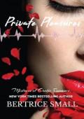 Private Pleasures (The Pleasure Channel #1)