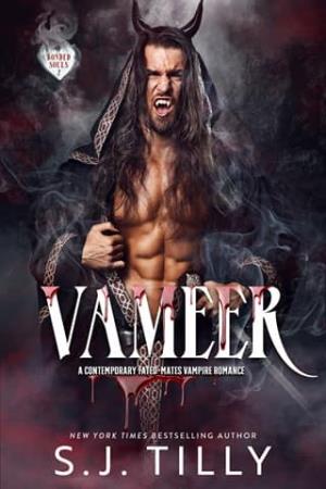 Vameer (Bonded Souls #2)