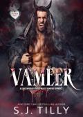 Vameer (Bonded Souls #2)