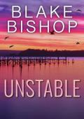 Unstable (Vantage Security #5)