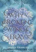 Why Broken Wings Fray (Chronicles of Saoghal #2)