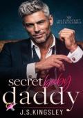 Secret Baby Daddy (The Chester Street Billionaires #7)
