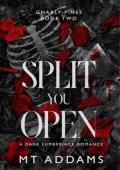 Split You Open (Gnarly Pines Duet #2)