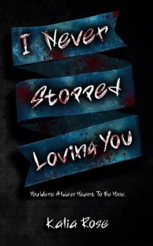 I Never Stopped Loving You