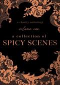 A Collection of Spicy Scenes, Volume 1