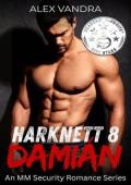 Damián (Harknett 8 #1)