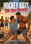 Hockey Bats on the Beach