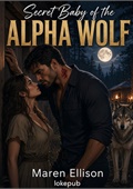 Secret Baby of the Alpha Wolf
