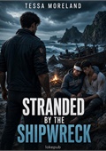 Stranded by the Shipwreck