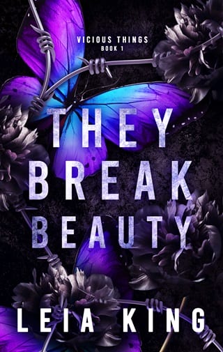 They Break Beauty (Vicious Things #1)
