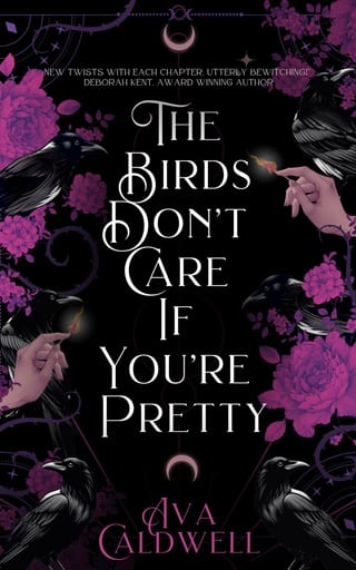 The Birds Don’t Care If You’re Pretty